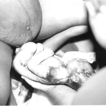 Lactation Education & Services